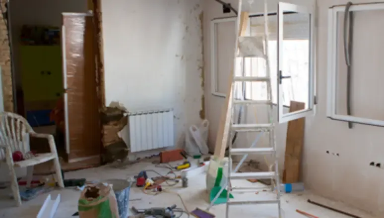 Addressing Mold Growth Following Moisture Exposure