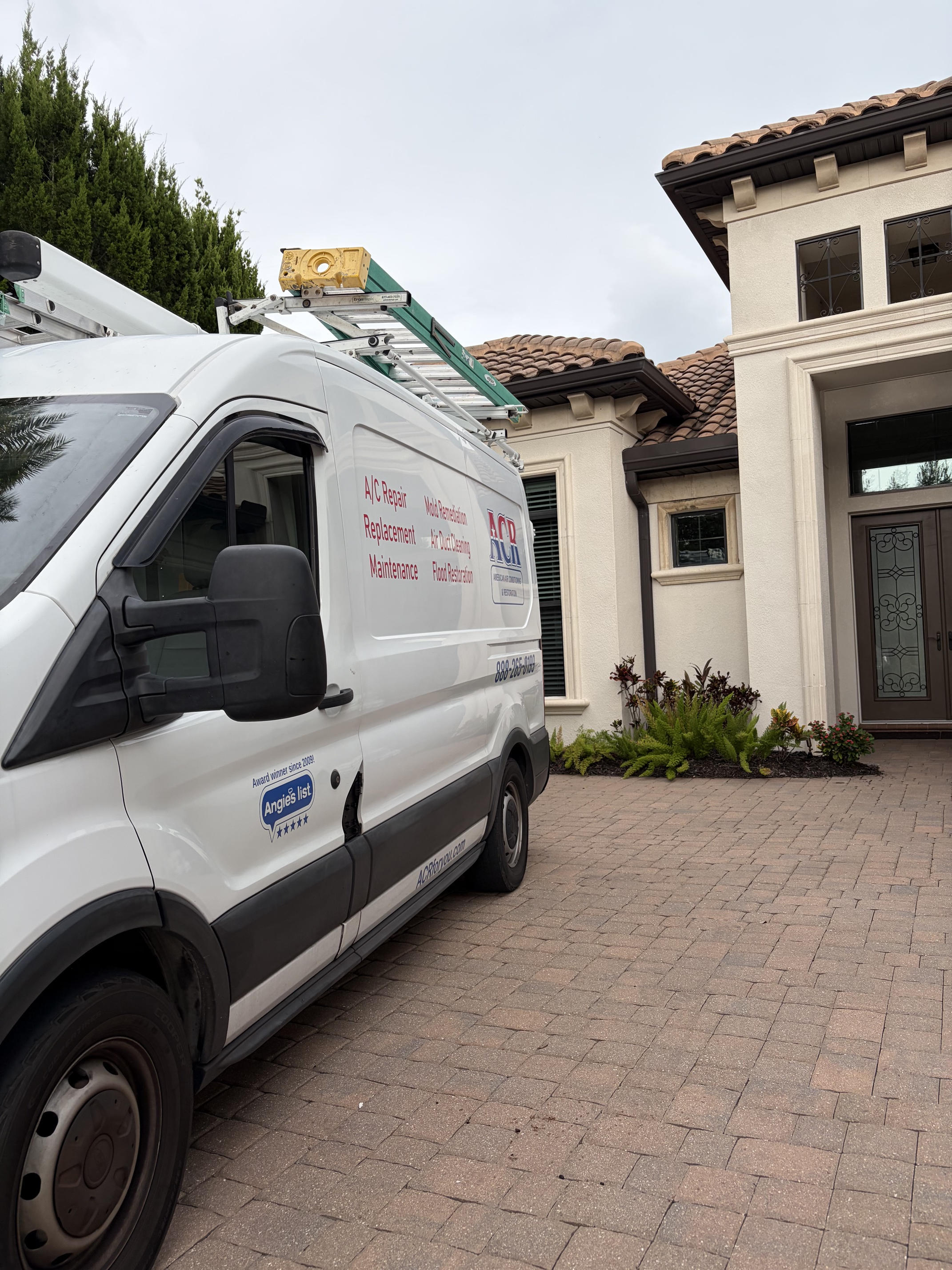 Reliable Mold and Water Damage Restoration