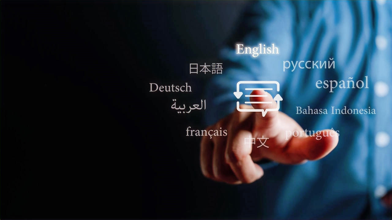 Professional Language Solutions Serving Healthcare and Government