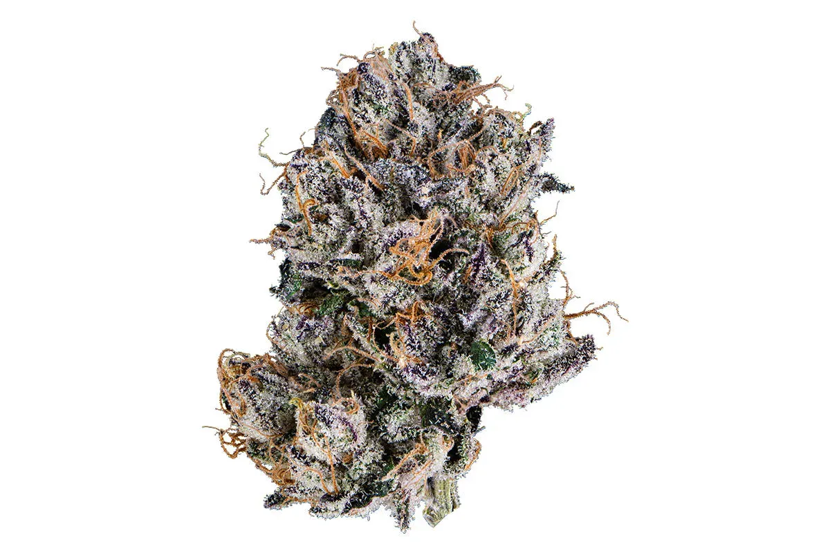Premiere Provisions: Your Top Choice for a Cannabis Dispensary in Big Rapids