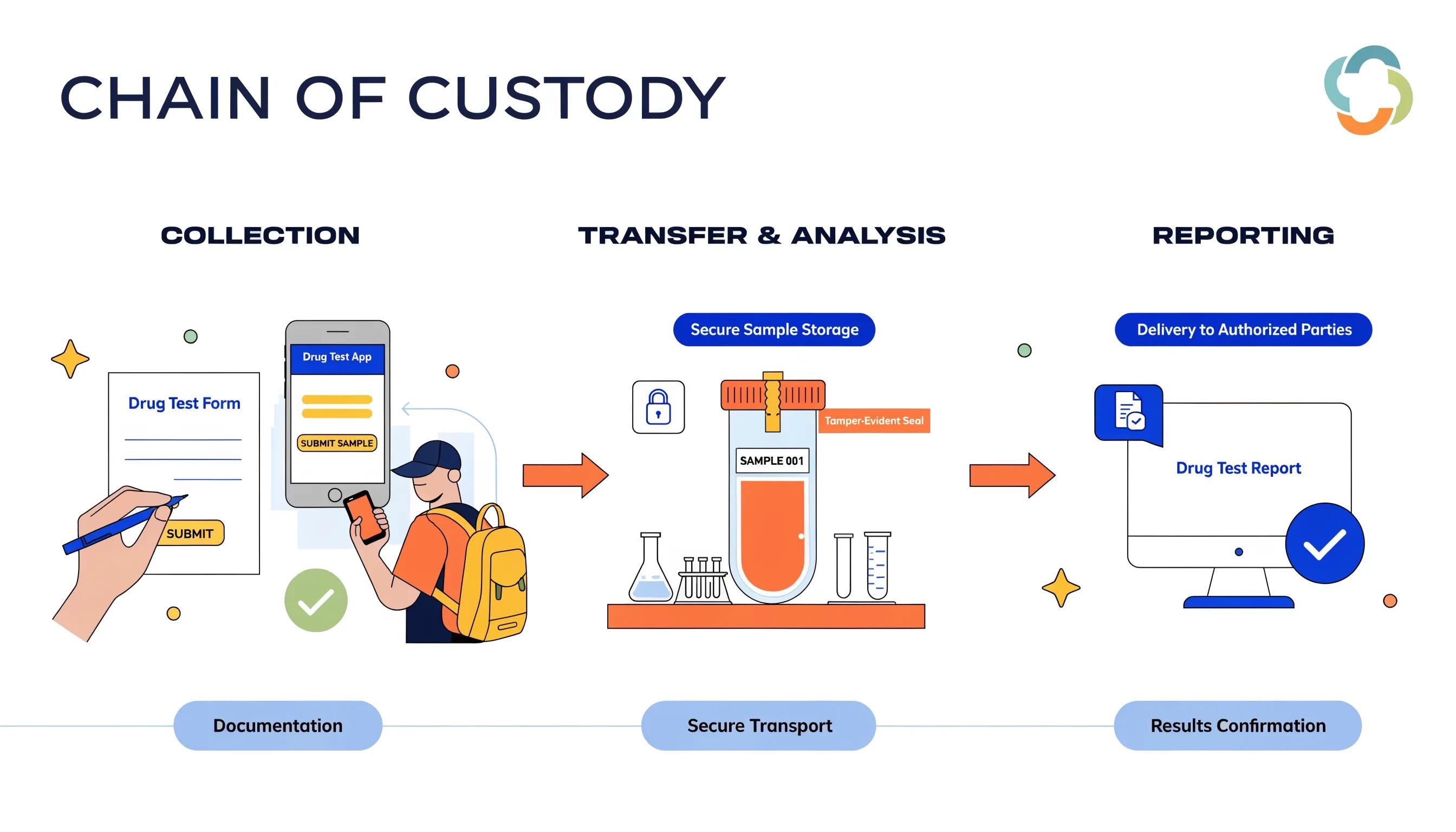 Visual representation of the chain of custody process for drug testing highlighting key steps in Texas legal compliance