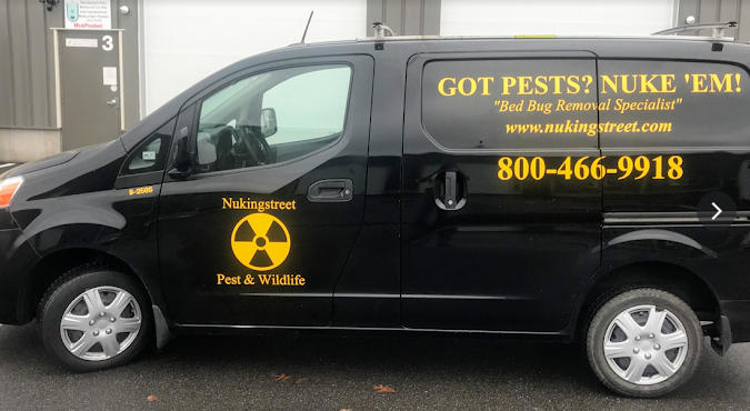 Professional Home Pest Solutions in Connecticut