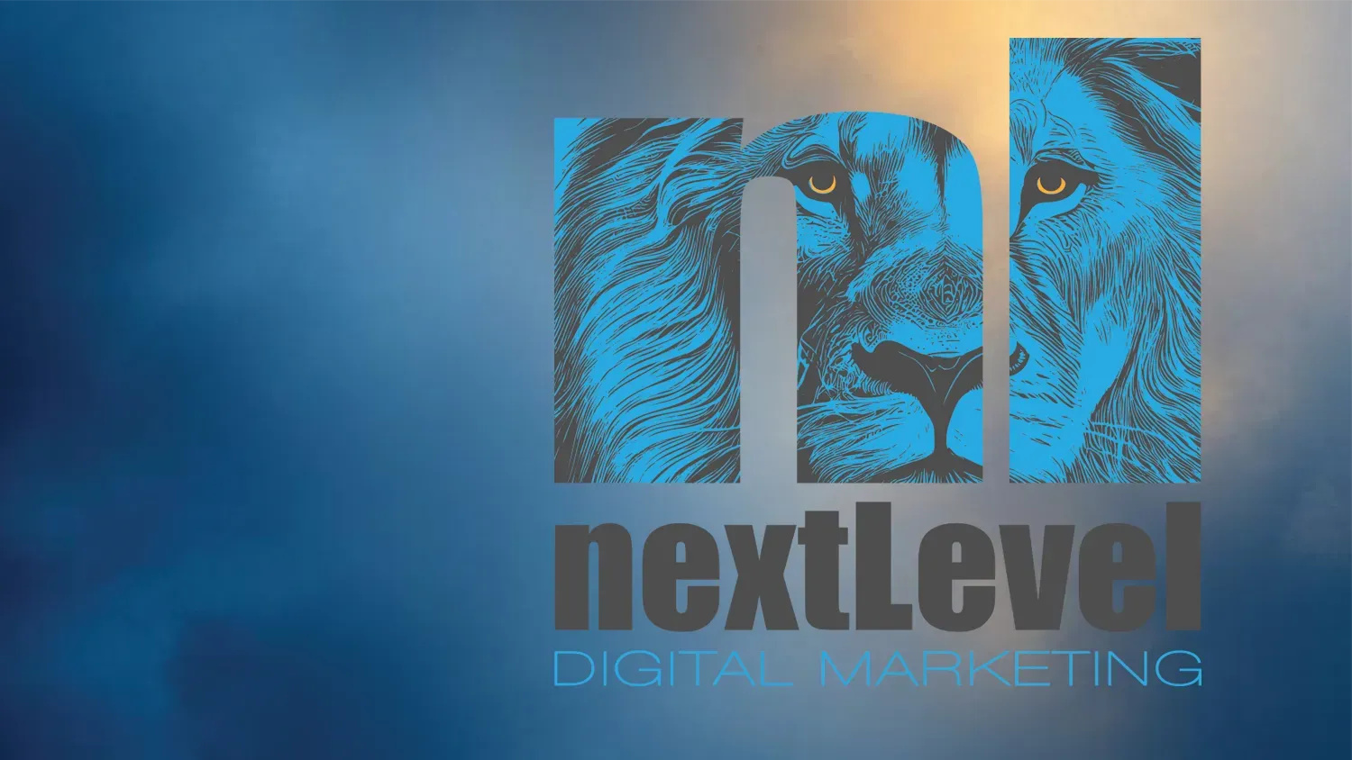 Next Level Management and Consulting
