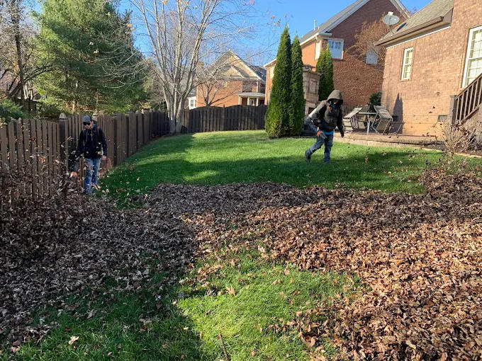 Seasonal Lawn Care & Property Cleanups