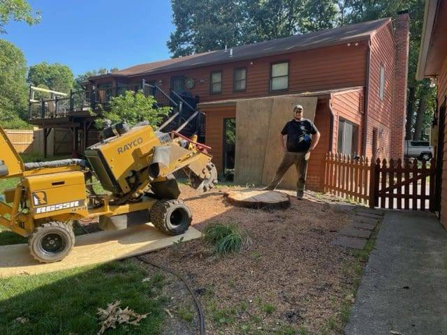 Tree Pruning and Stump Removal