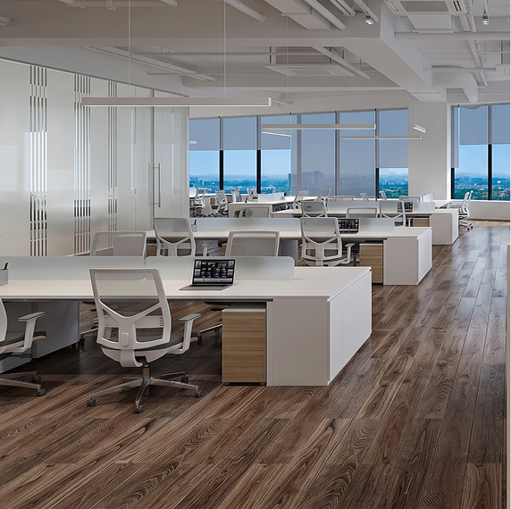 Premium Construction and Renovation Services Across Miami