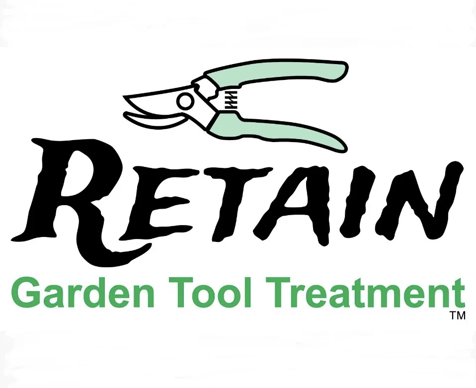 Digital Marketing Strategies for Raleigh-Durham Triangle Businesses