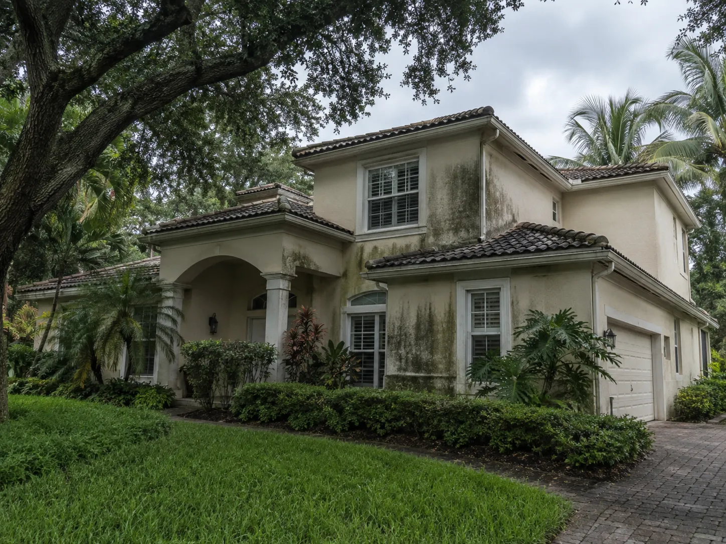 Close-up of mold and mildew growth on Florida stucco wall