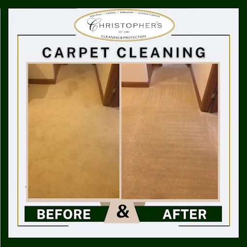 Professional Cleaning for Area Rugs and Upholstery in Fairfax VA