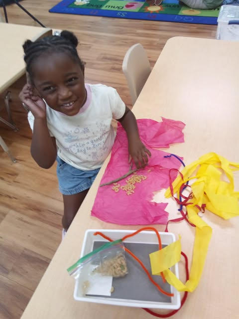 The Toddler Program: Purposeful Learning for Ages Two to Three