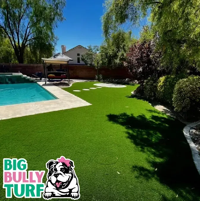 Big Bully Turf: Your Backyard Turf Cost Guide