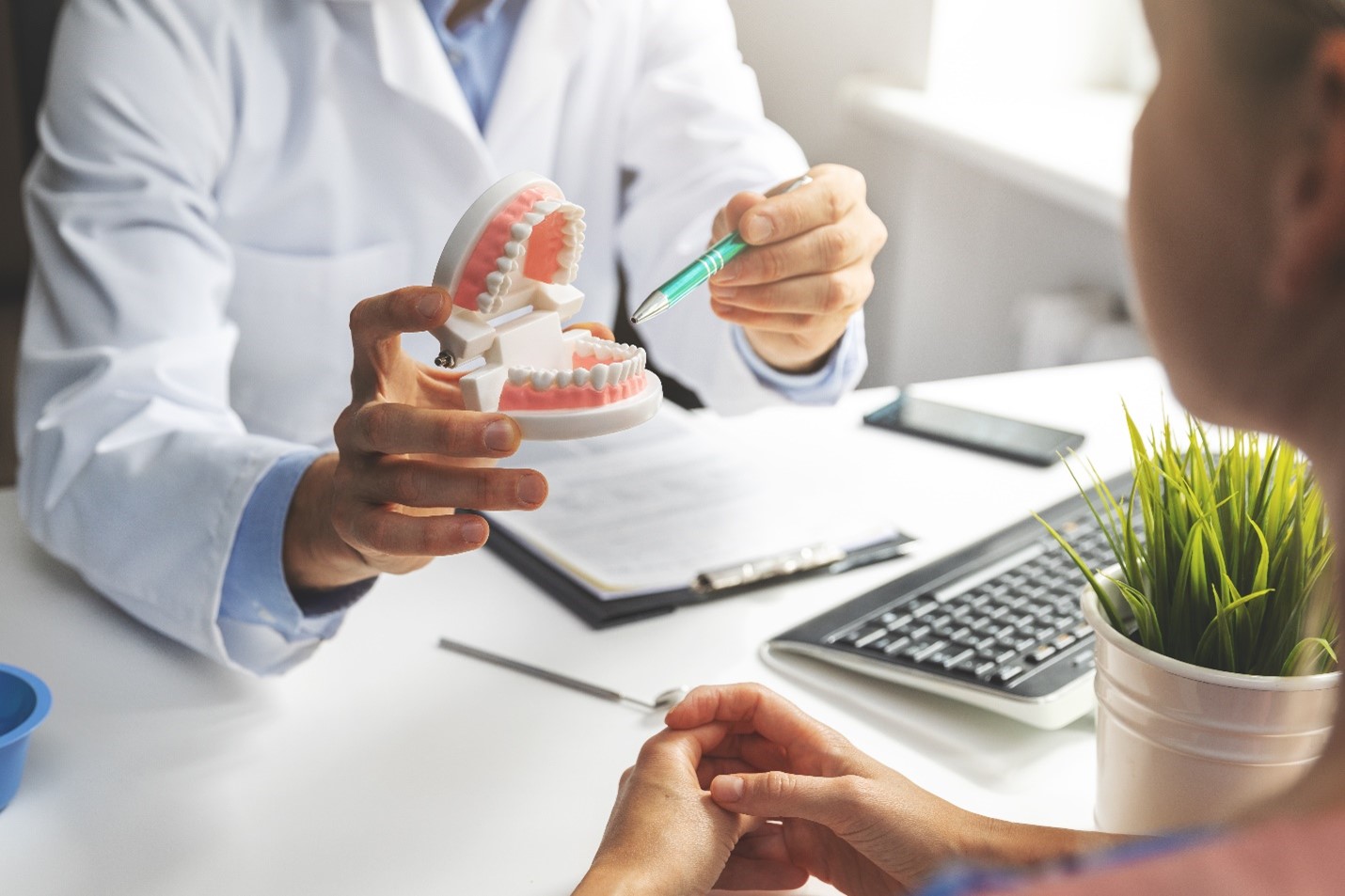 Explore Dental Implant Solutions at Vero Beach