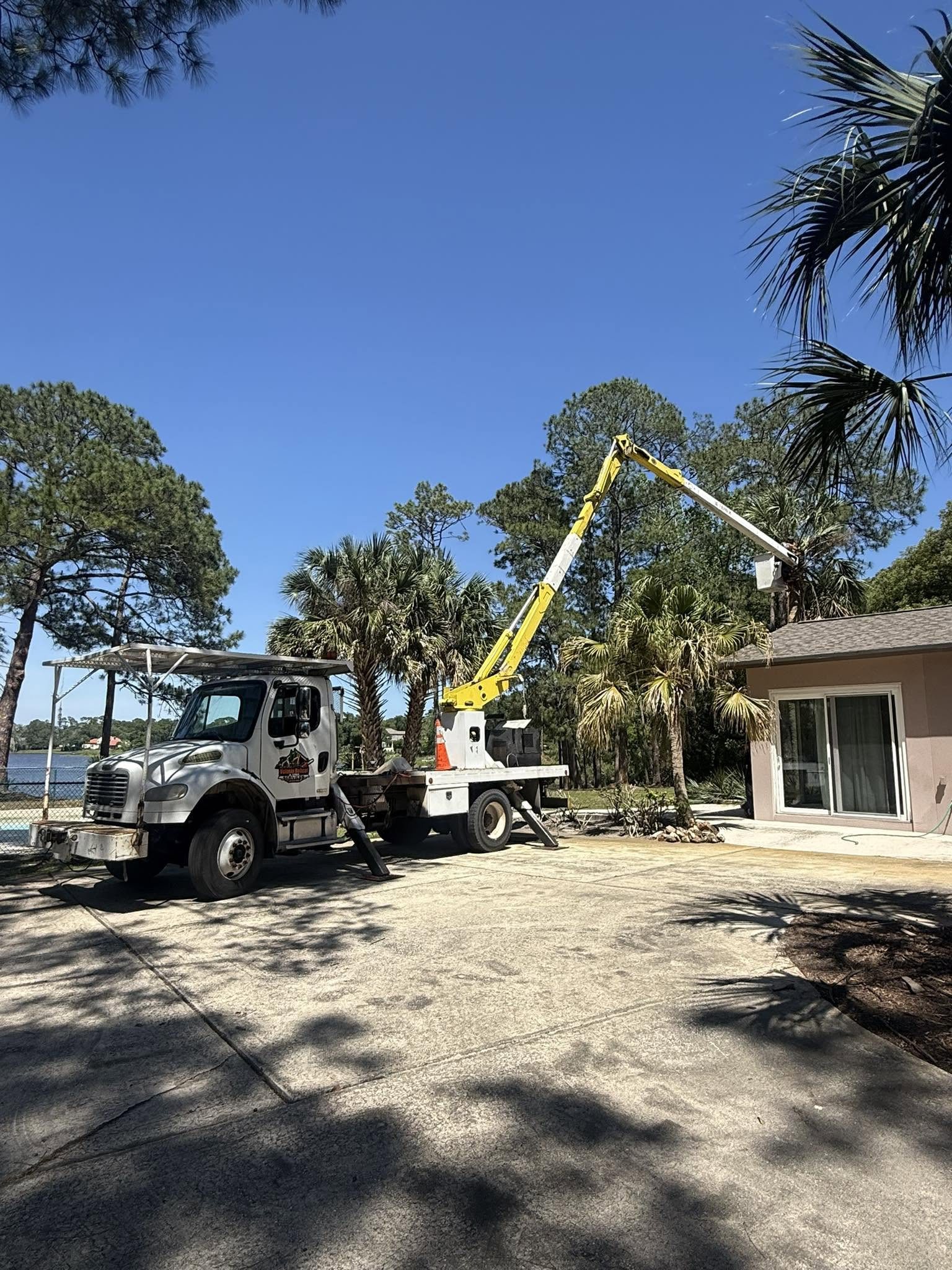Trustworthy Tree Services in DeLand, FL - Available 24/7