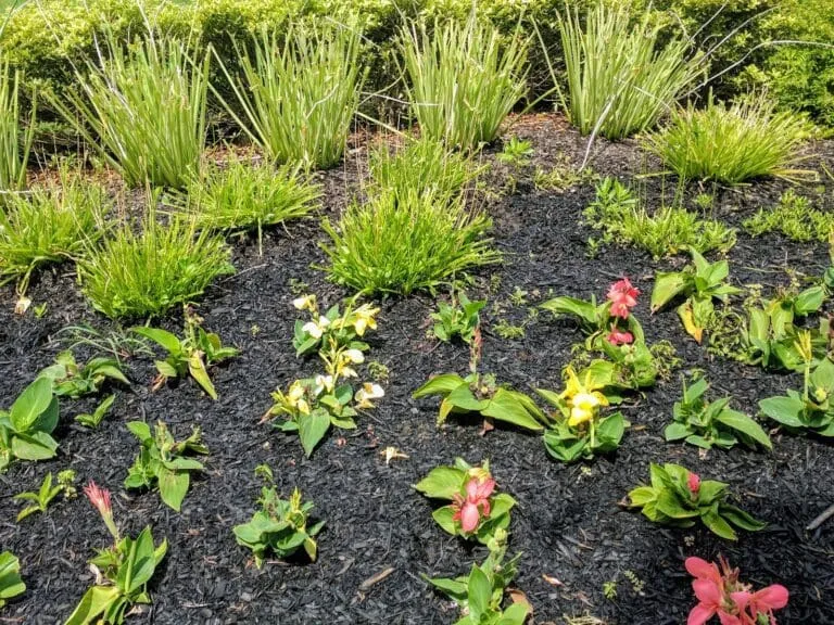 Keep Your Garden Safe From Deer Year Round