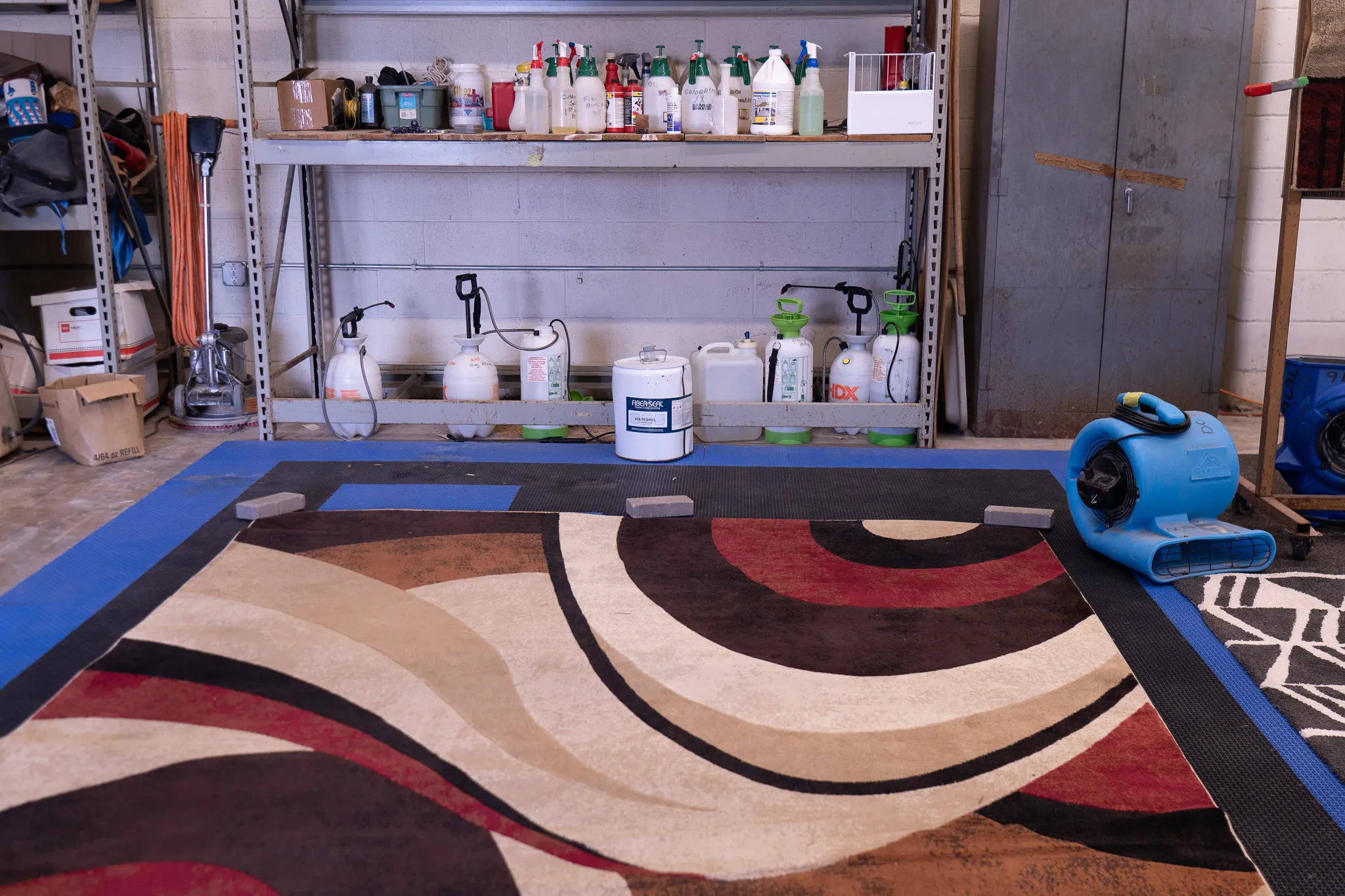 Advantages of Engaging Expert Carpet Services