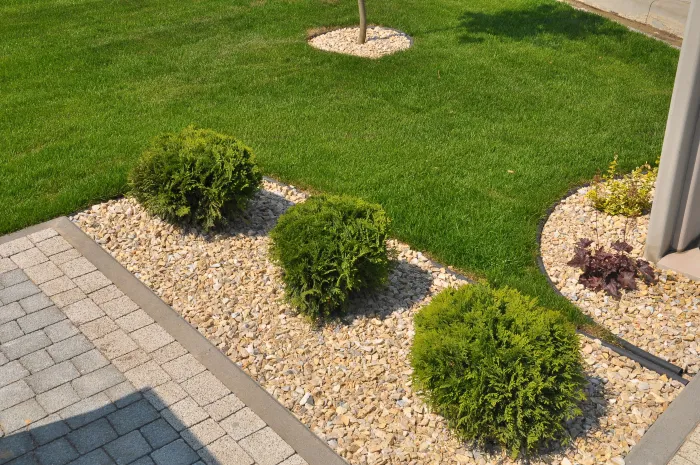 professional landscaping