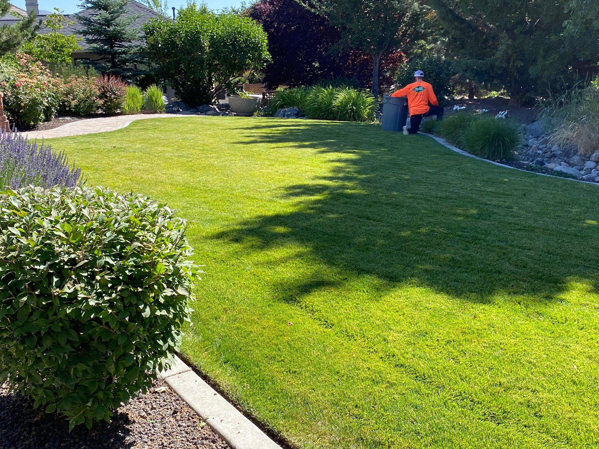 Exceptional Landscaping Solutions in Reno and Sparks, NV