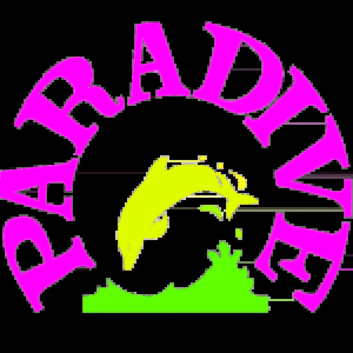 在Paradive 專屬的潛水與浮潛冒險中感受驚奇