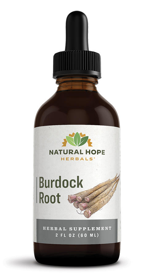 Benefits of Utilizing Burdock Herbal Supplements