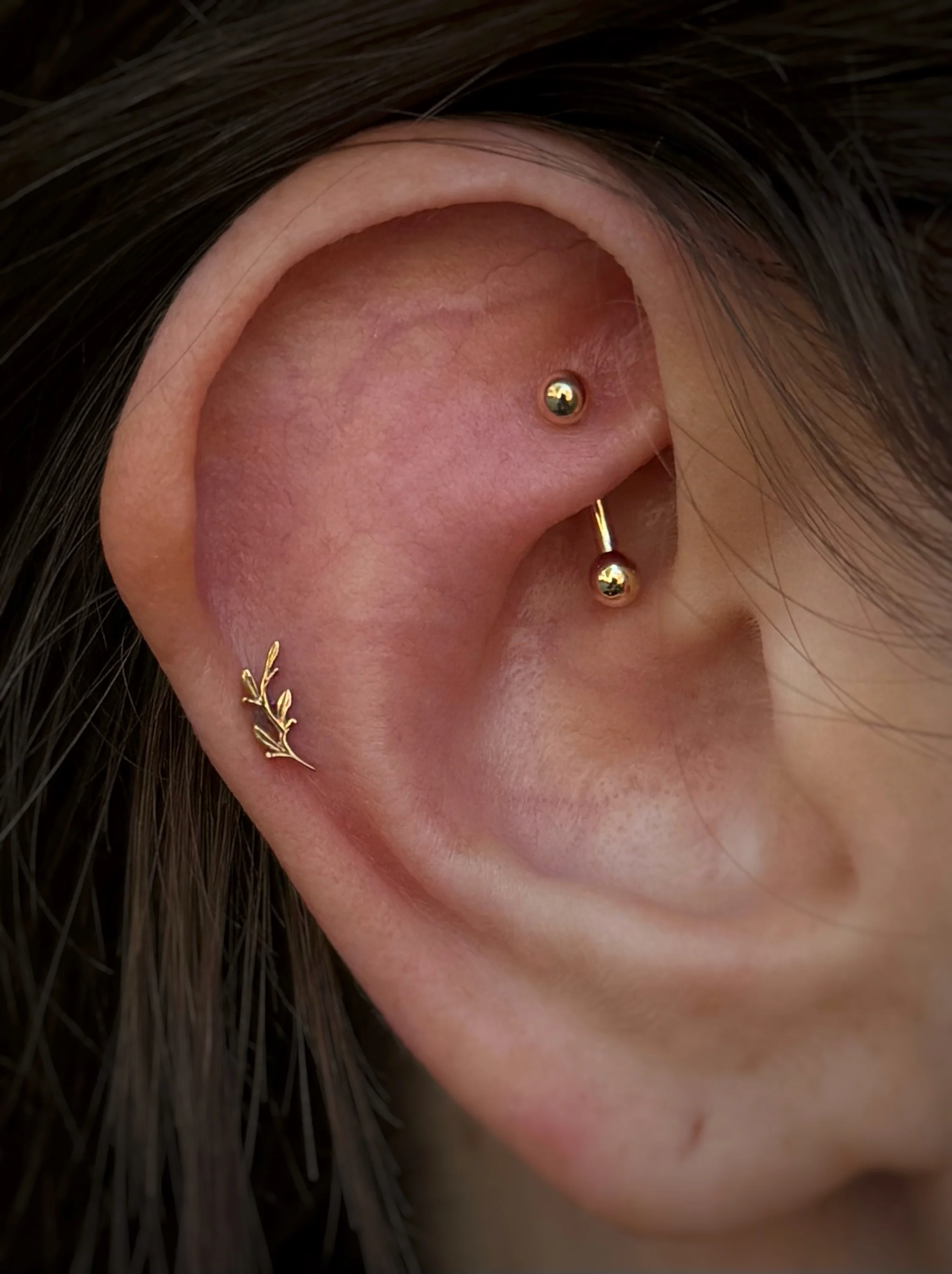 Clean, close-up shot of a healed rook piercing with a classic, mirror-polished gold curved barbell, complemented by a delicate gold branch-and-leaves flat helix stud along the outer rim of the ear cartilage.