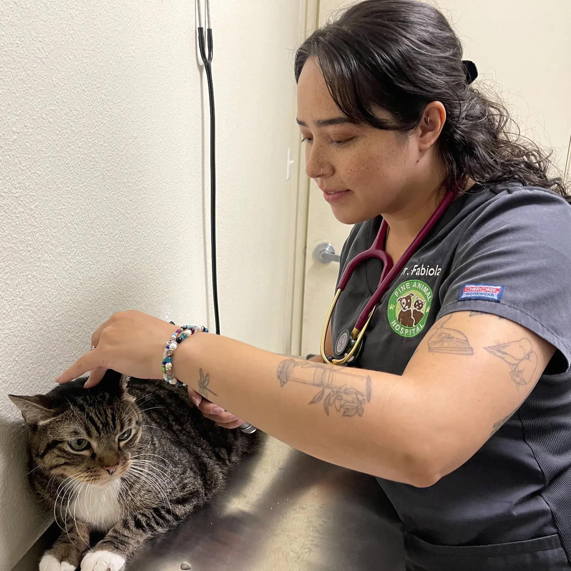 Expert Veterinary Care at Pine Animal Hospital Long Beach