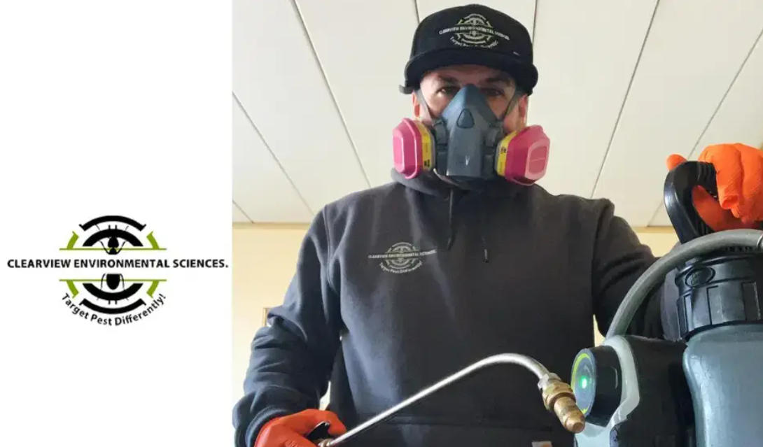 Termite Treatment and Prevention