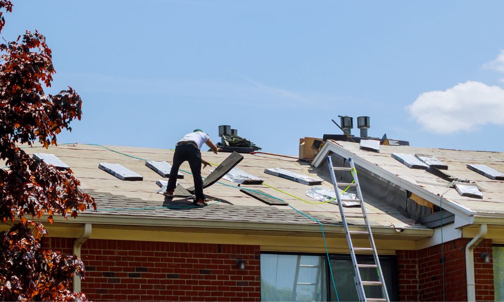 A contractor preparing a residential building for a roof replacement, laying down bundles of shingles across the deck to install a brand new roof under a clear blue sky.