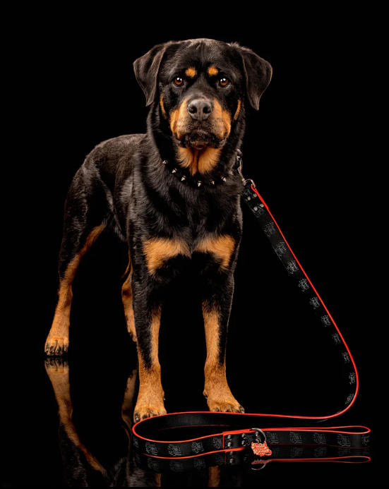 Fetching Fun with Crimson Throwing Balls