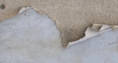 Structural Drying, Dehumidification, and Preventing Mold Growth