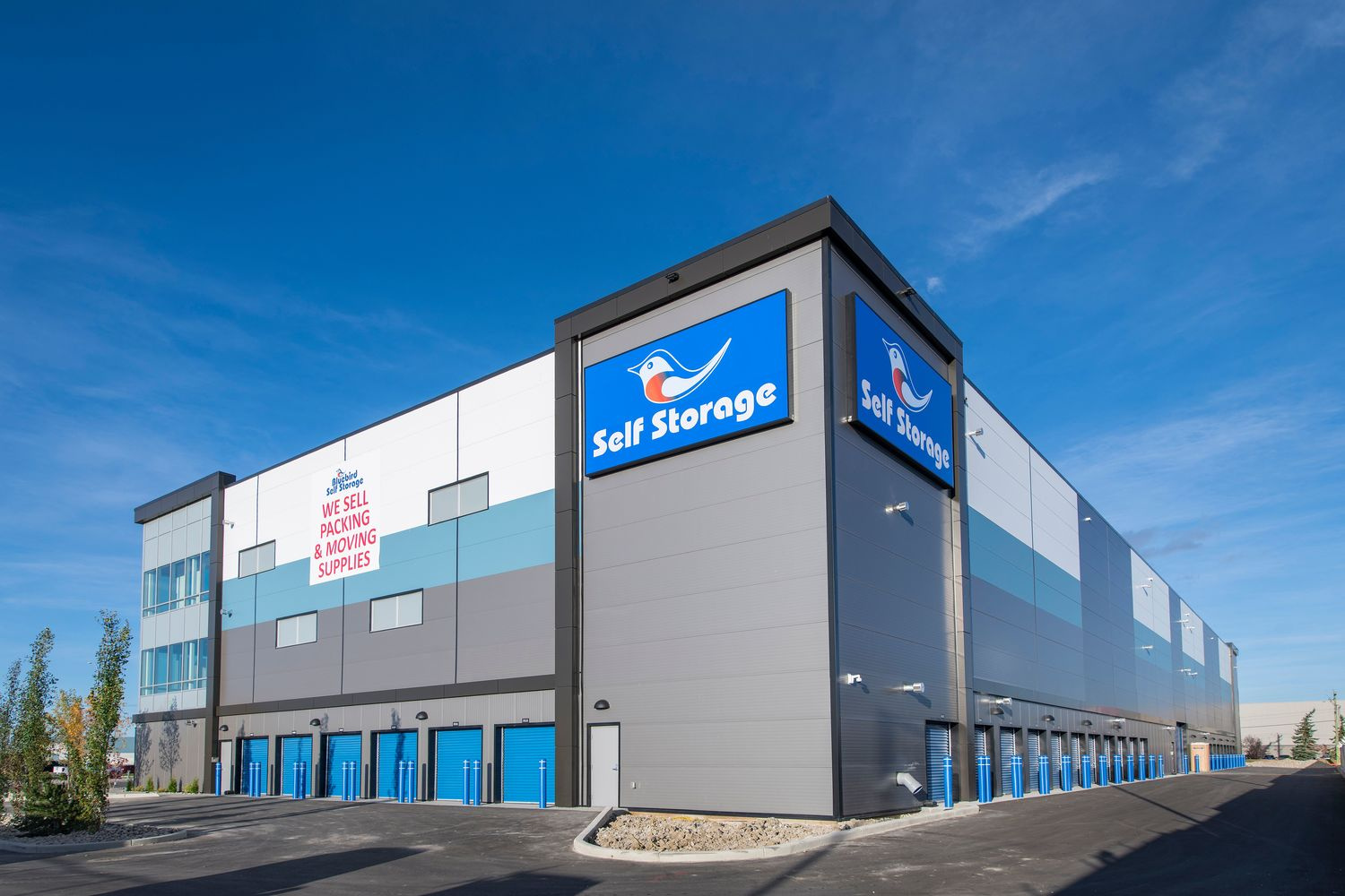 Effortless Storage Solutions for Businesses