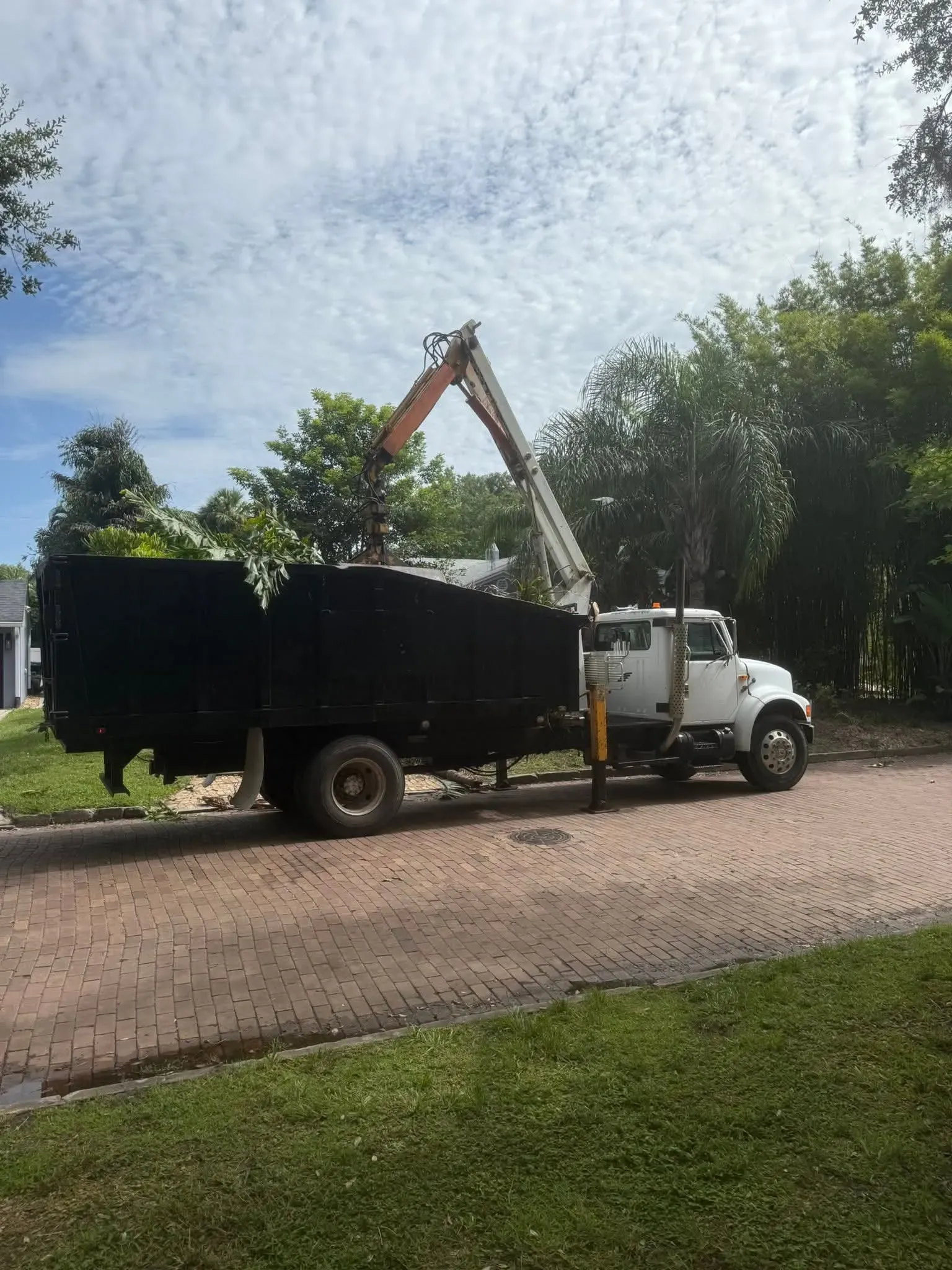 Specialized Grapple Services for Effective Debris Clearance