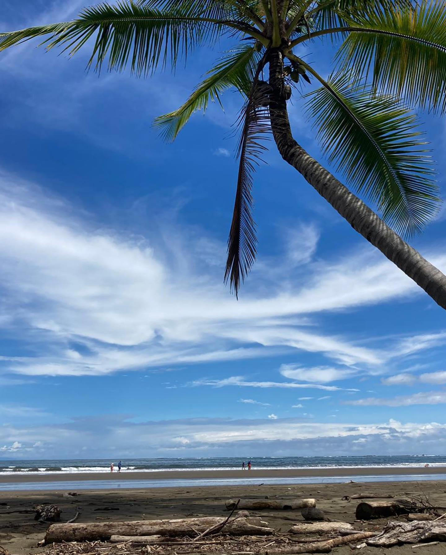 Rainforest hike along the Costa Rican coastline