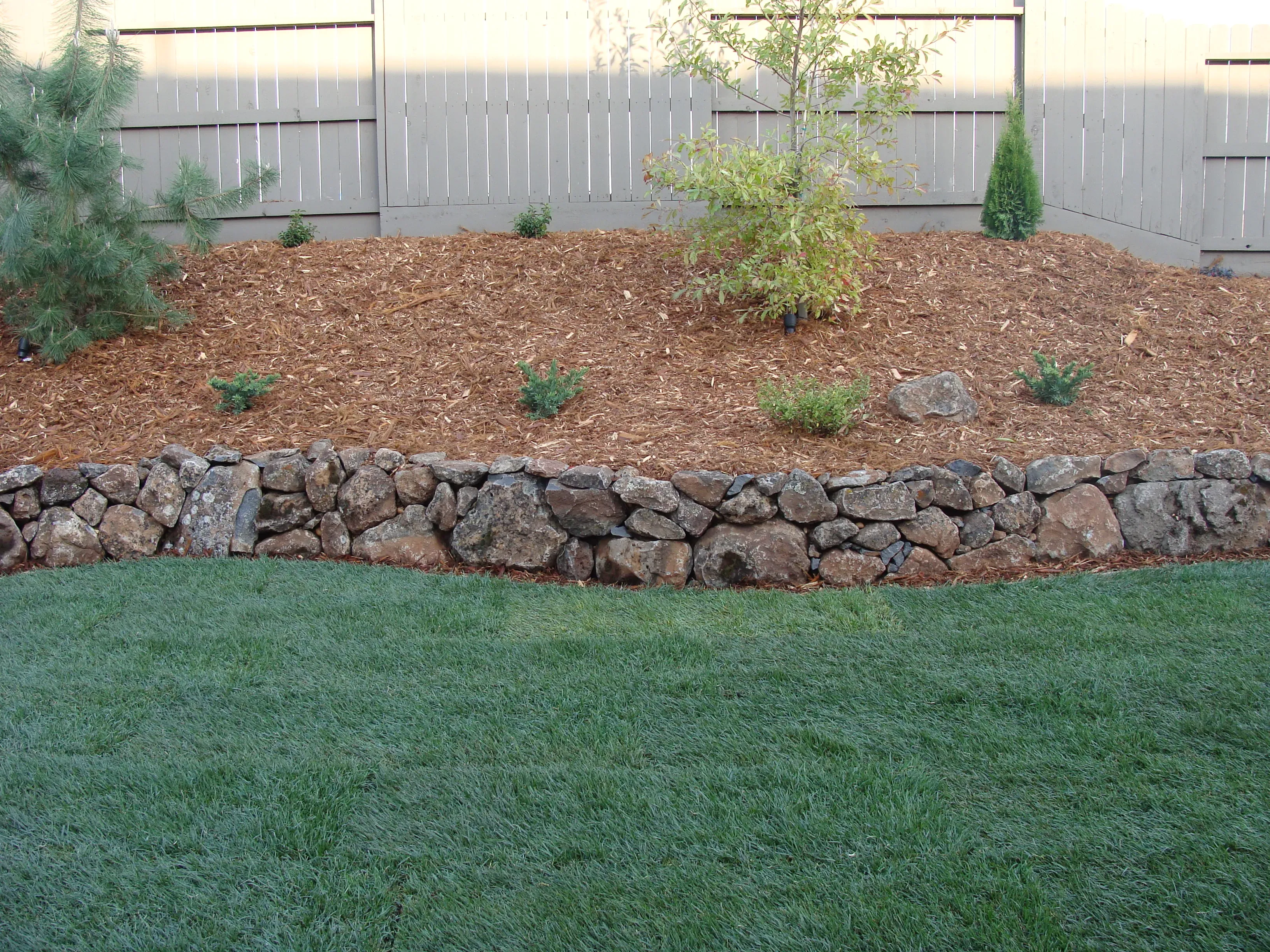Drought-Tolerant Landscaping and Water Features
