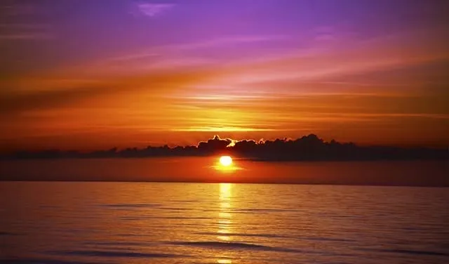 Colorful cocktails representing Key West's signature drinks against a tropical sunset backdrop