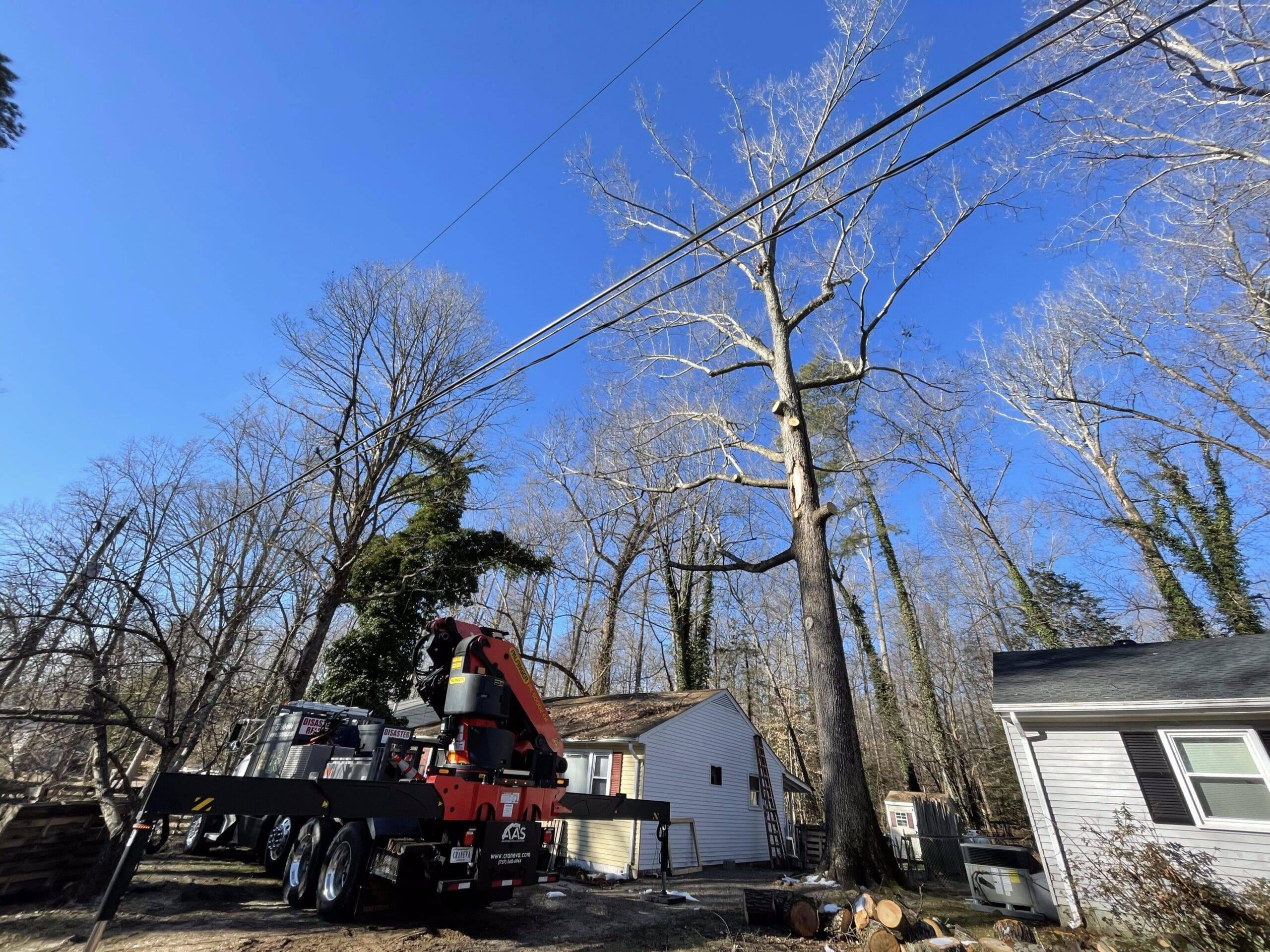 Immediate Assistance for Storm Damage