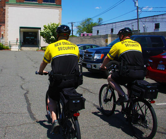 Professional Security Services in Boston
