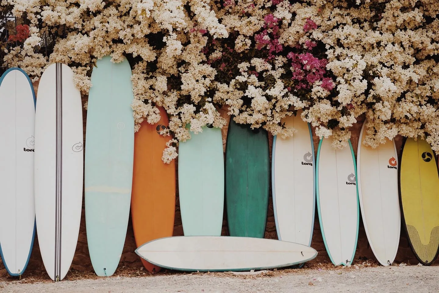 Experience the Best Surf Camp in Morocco at Salt House