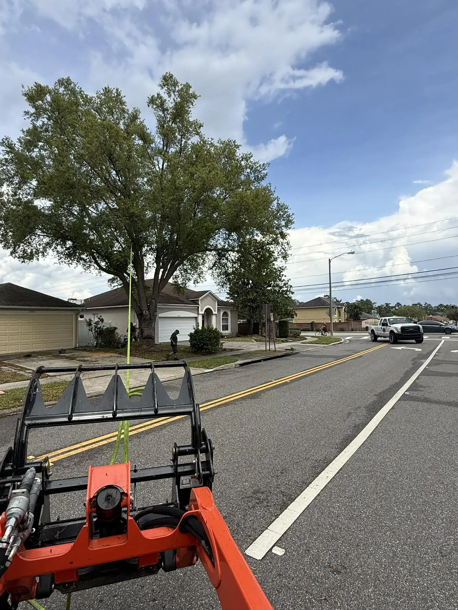 Expert Tree Care Services in Volusia County