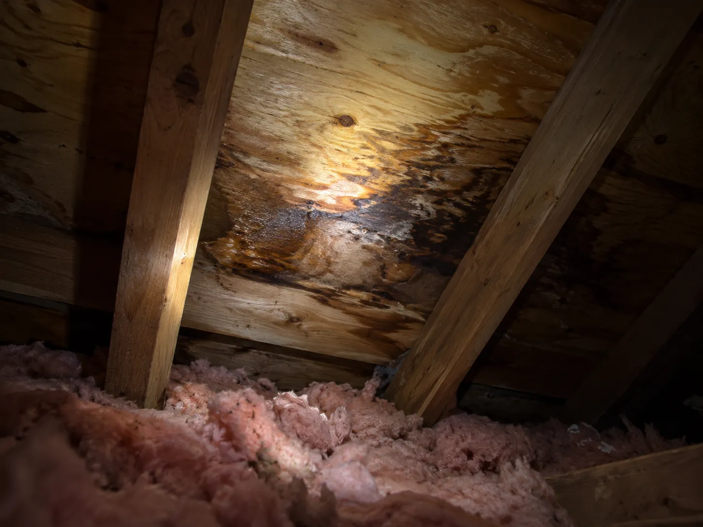 Flashlight showing a water stain on attic roof boards