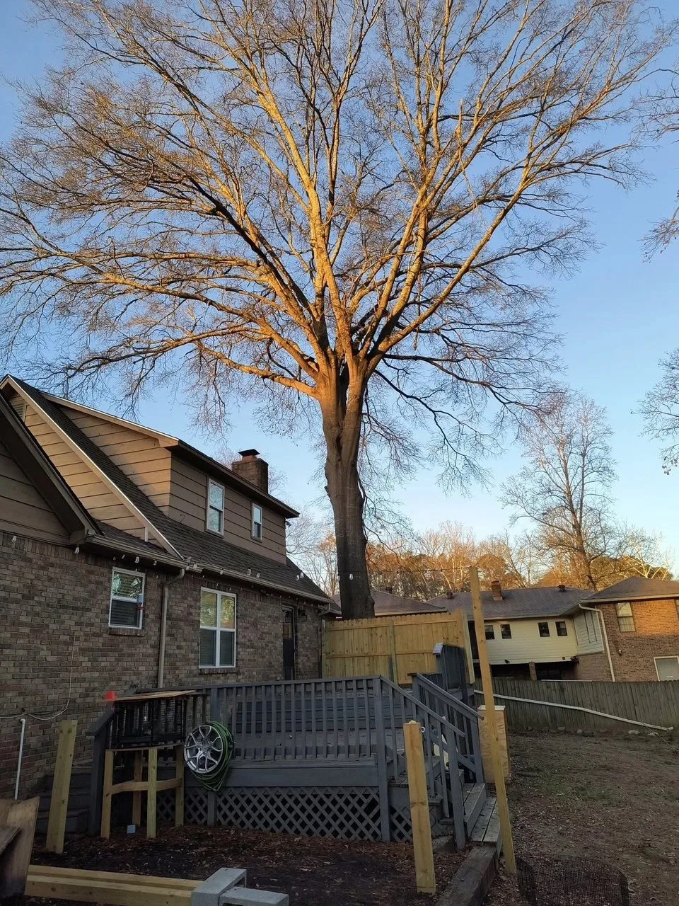 Quality Tree Services in Arkadelphia: Reliable and Safe Solutions