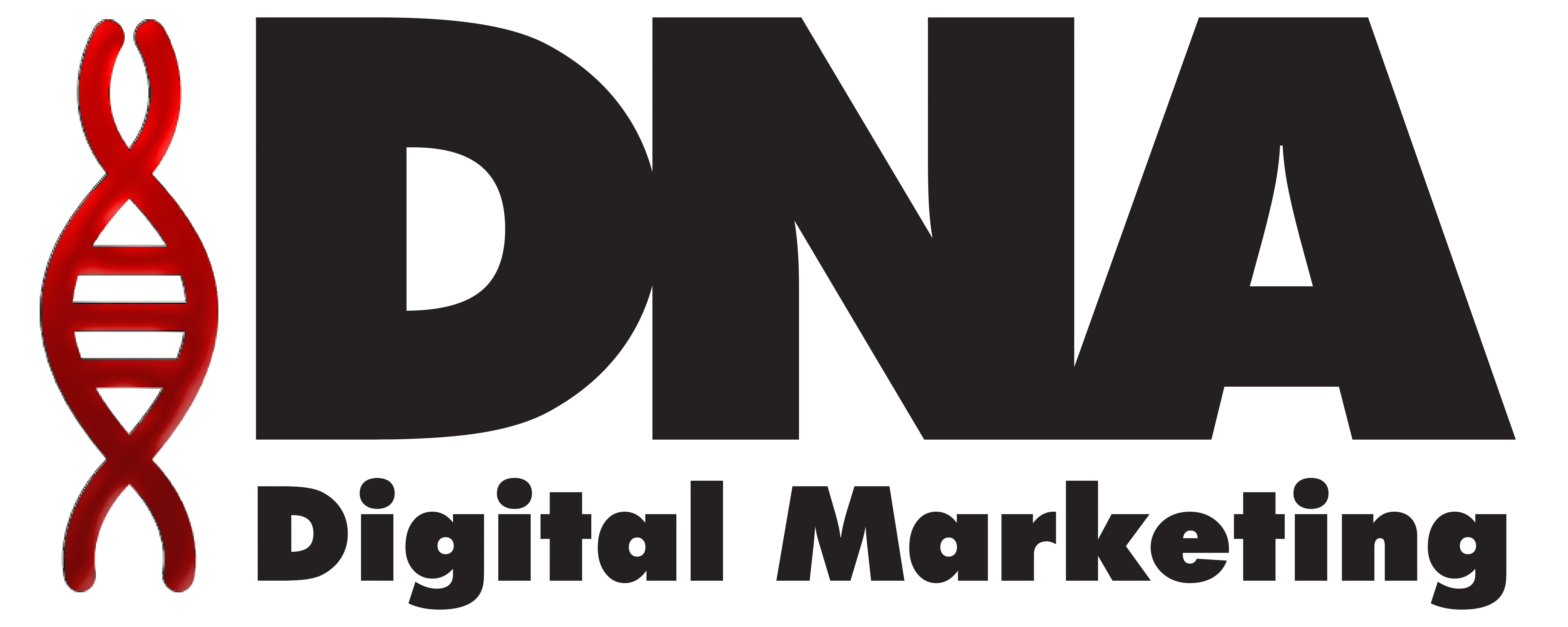 Elevate Your Brand with Expert Digital Marketing Solutions