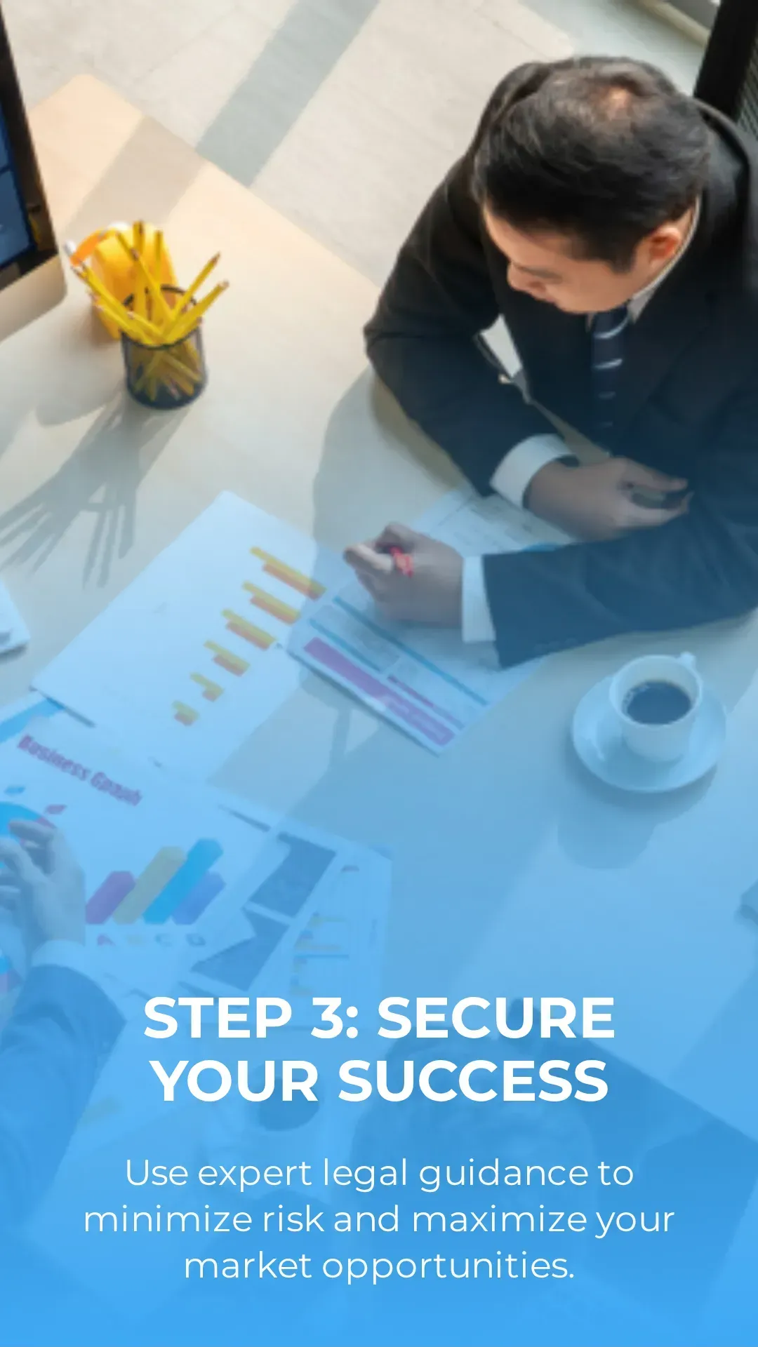 Comprehensive Franchise Law Services