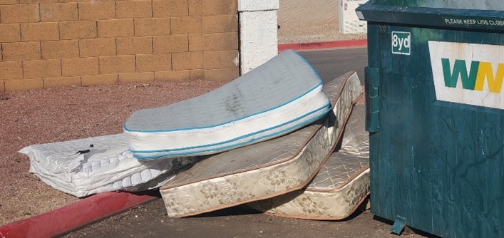 Quick and Cost-Effective Bed Bug Mattress Disposal Services