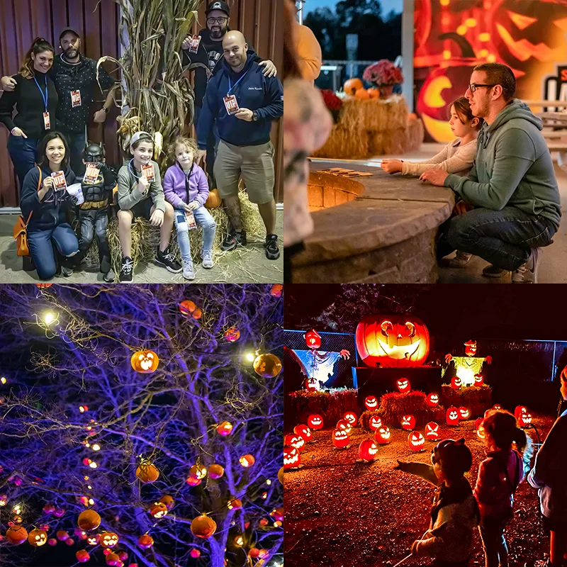 Premier Pumpkin Farms Worth Visiting in Sussex County