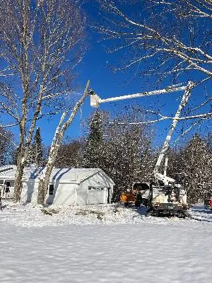 Comparing Dunbar Tree Service with Midwest Tree & Landscape LLC