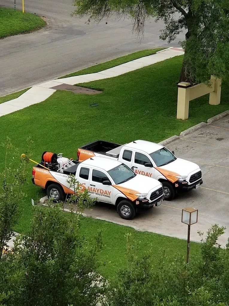 Highly Rated Residential Pest Control Services in Texas