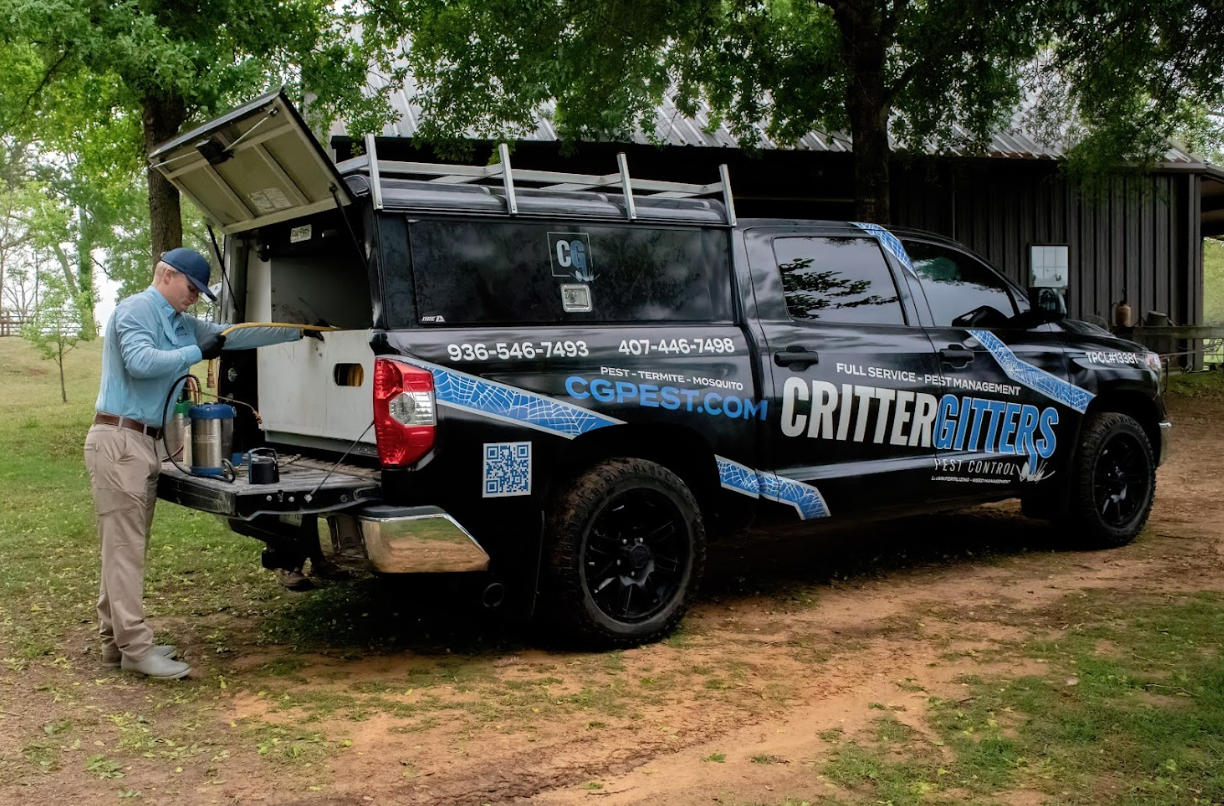 Understanding East Texas Pest Challenges