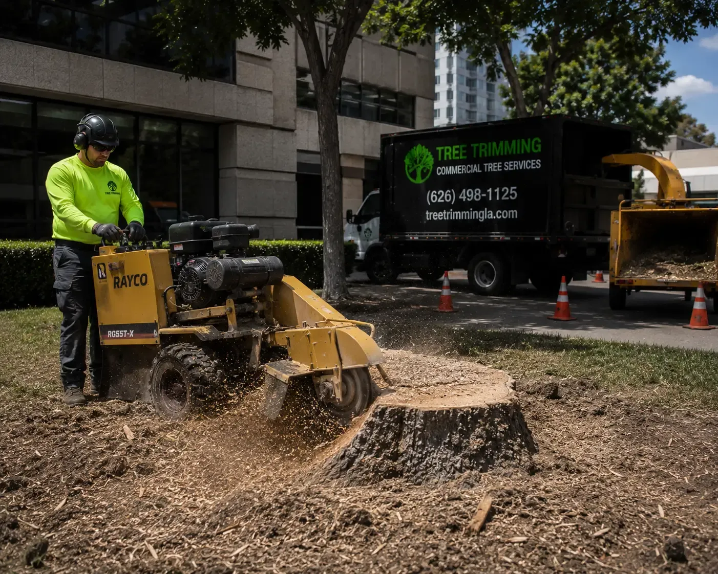 Stump Grinding and Cleanup