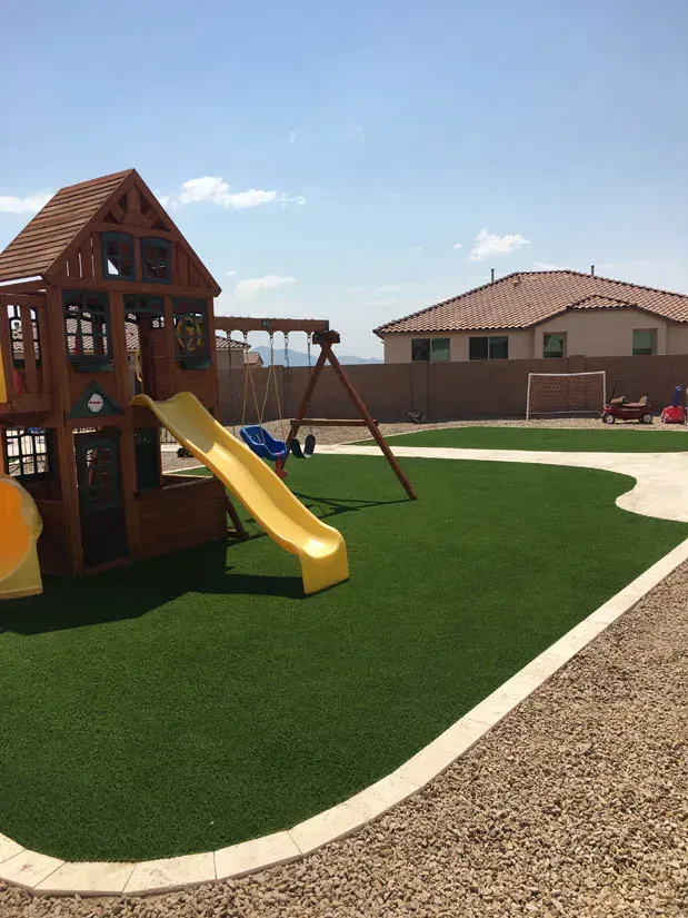 Water-Wise Xeriscaping Tailored to Tucson's Desert Conditions
