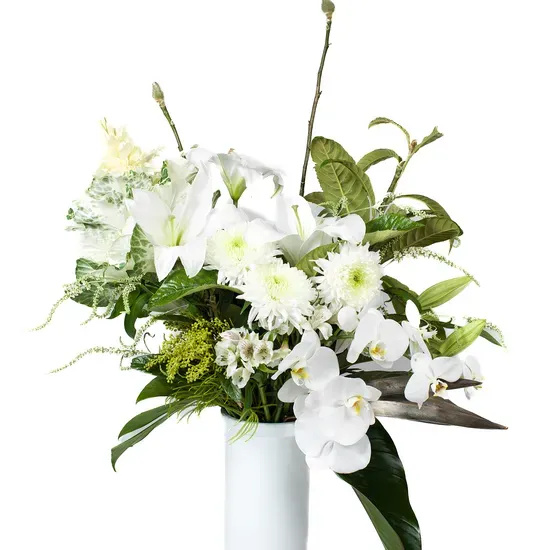 Explore Your Preferred Kirribilli Florist Today